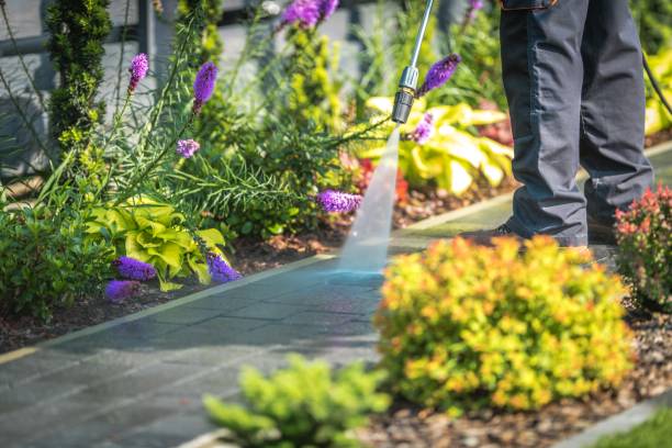 Trusted Royston, GA Pressure Washing Services Experts